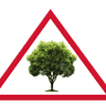 Triangle Tree Service & Landscaping
