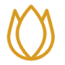 TRINITY VOYAGE TOURS & TRAVELS
