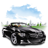 Trip Cars