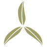 Trisquel Estética