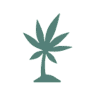 Tropical Bud CBD Shop - Amadora