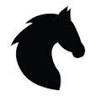 True Heart Equine Enrichment