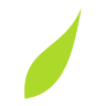 TSILKOV ltd