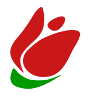 Tulip Computers