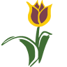 Tulip City Self Storage