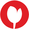 Tulip Expats Services
