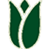Tulip International