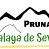 Pico Terril