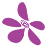 Turleys Florist