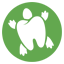 Turtle Town Dental