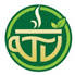 T VANAMM