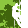 Tweed Valley Tree Services