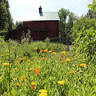 Tweefontein Herb Farm