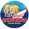 CARDWINGS八王子駅前店