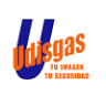 Udisgas