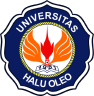 Haluoleo University