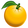 TanjaCelulitEliminator