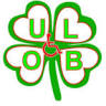 Udruženje- Lokalno Organizovanje