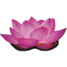 Ultimate Massage and Wellness Spa