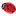 LADYBUG - NOVARA