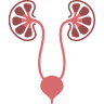 Praxis für Urologie Dr. med. Ina Riedel