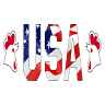 USA Chicken & Pizza