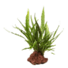 USB Akvarie Gødning ApS
