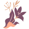 Mili