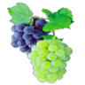 Гид по Пизе и Тоскане Ирина Лихота. Экскурсии в круизе из Ливорно.Tour Guide Irina, excursions Tuscany.