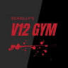 Scholly's V12 Gym Studio Kalkar