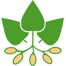 van Gendt Aardappelen