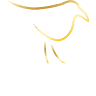 Van Ravesteijn Theater & Events