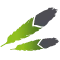 Vanyou