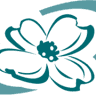 Virginia Virtual Academy