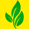 Veenas