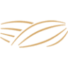 Veracruz Almonds