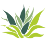 Verde - Flavors of Mexico