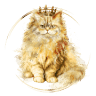 Vergulde Kat