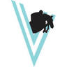 Vertical Limit Stable