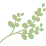 ATELIER VERT'TIGES - ARTISAN FLEURISTE