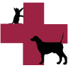 Veterinary Clinic 