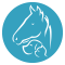 Veterinární ordinace MVDr. Tuma & MVDr. Král Ústí n. L. – psi, kočky, koně, velká hosp. zvířata, - Teplice, Litoměřice, Děčín