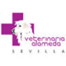 VETERINARIA ALAMEDA SEVILLA
