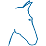 Ansager Hestehospital - VetGruppen