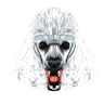 The Vicious Poodle
