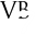 Vilas Boas Travassos