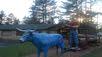 Vilas County Historical Museum