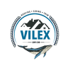 Vilex Inc. Roofers