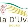 Villa D'Uvale Douro