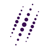 Vinci IT Partner